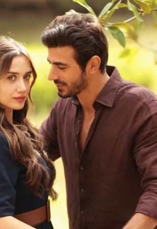 /mezhdu
